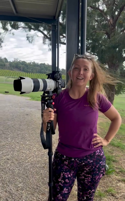 Meg McCoy - Equestrian Photographer